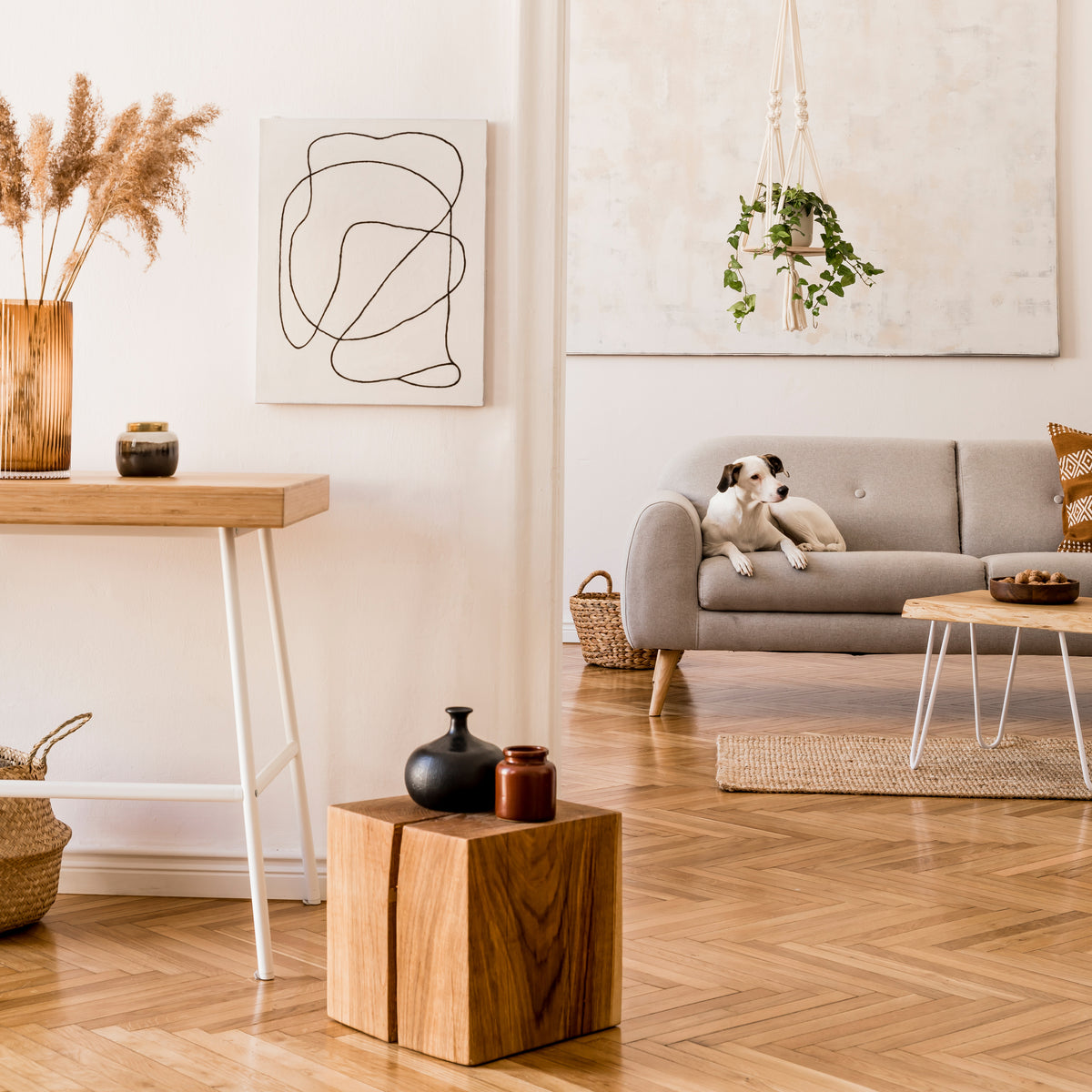 Homecomforts.com – The Comfort Store